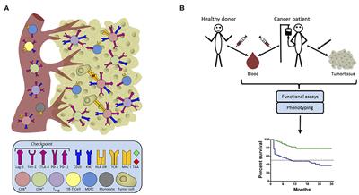 Immune Signatures and Survival of Patients With Metastatic Melanoma, Renal Cancer, and Breast Cancer